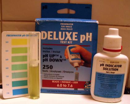 pH test of neutral tap water after acidic saliva added