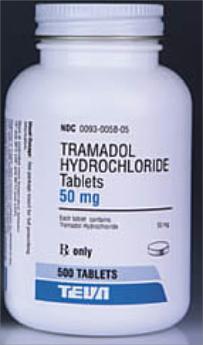 tramadol causes incontinence in dog